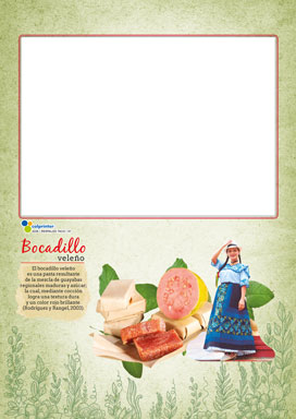 Taco bidiario